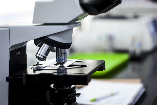 基于雙(二甲氨基丙基)異丙醇胺的環(huán)保型水發(fā)泡聚氨酯體系研究